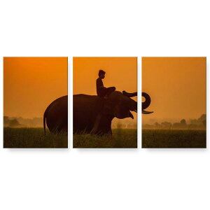 A[gpl 3A 3Zbg G G  igsticker 594mmx420mm A2 tHg Ǌ| ؘg CeA  025736 @]E@VGbg@̏o
