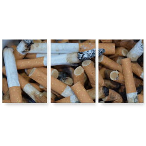 �A�[�g�p�l�� 3�A 3���Z�b�g �G �G�� ���� igsticker 594mmx420mm A2 �t�H�g �Ǌ|�� �ؘg �C���e���A ������� 025748 ���΂��@�z���k