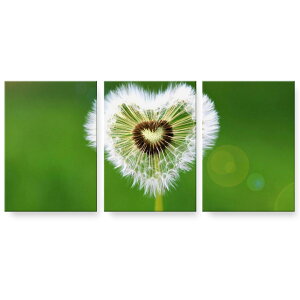 A[gpl G G  IׂTCY 594×841mm A1 3Zbg Zbg _  ʐ^ tHg CeA  025776 ԁ@ۂہ@n[g