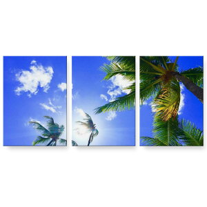 A[gpl 3A 3Zbg G G  igsticker 594mmx420mm A2 tHg Ǌ| ؘg CeA  025803 V̖؁@R@t@