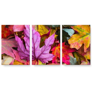 A[gpl G G  IׂTCY 594×841mm A1 3Zbg Zbg _  ʐ^ tHg CeA  025806 gt@t@݂