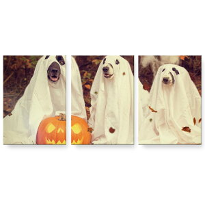 A[gpl G G  IׂTCY 594×841mm A1 3Zbg Zbg _  ʐ^ tHg CeA  025809 nEB@ڂ@Halloween@@