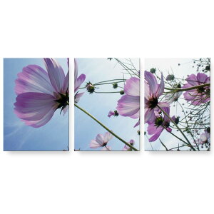 A[gpl G G  IׂTCY 594×841mm A1 3Zbg Zbg _  ʐ^ tHg CeA  025826 ԁ@RXX@H@