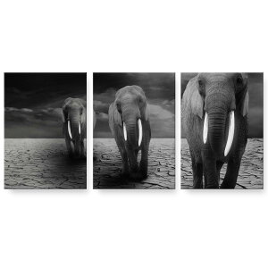 �A�[�g�p�l�� 3�A 3���Z�b�g �G �G�� ���� igsticker 594mmx420mm A2 �t�H�g �Ǌ|�� �ؘg �C���e���A ������� 025853 �����@�]�E