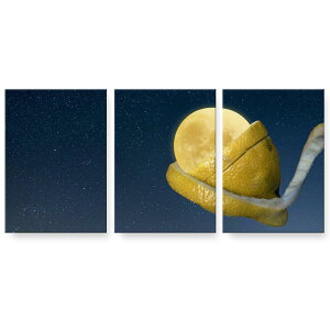 A[gpl G G  IׂTCY 594×841mm A1 3Zbg Zbg _  ʐ^ tHg CeA  025873 @@t[c