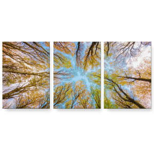 A[gpl G G  IׂTCY 594×841mm A1 3Zbg Zbg _  ʐ^ tHg CeA  025927 Xс@؁@R