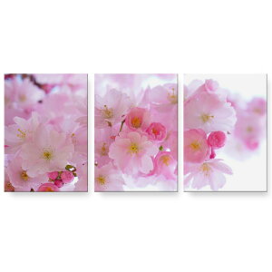 A[gpl 3A 3Zbg G G  igsticker 594mmx420mm A2 tHg Ǌ| ؘg CeA  025977 ԁ@@{@