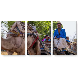 A[gpl G G  IׂTCY 594×841mm A1 3Zbg Zbg _  ʐ^ tHg CeA  026004 l@n