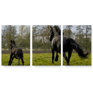 A[gpl G G  IׂTCY 594×841mm A1 3Zbg Zbg _  ʐ^ tHg CeA  026005 n@@