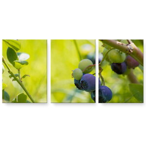アートパネル 絵 絵画 飾り 選べるサイズ 594×841mm A1 3枚セット セット物 モダン 玄関 写真 フォト インテリア おしゃれ 026025 果物 フルーツ ブルーベリー