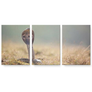 �A�[�g�p�l�� 3�A 3���Z�b�g �G �G�� ���� igsticker 594mmx420mm A2 �t�H�g �Ǌ|�� �ؘg �C���e���A ������� 026031 �ց@�w�r�@঒��ށ@�R�u��