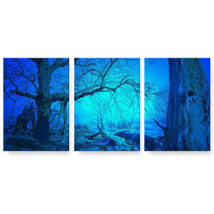 A[gpl 3A 3Zbg G G  igsticker 594mmx420mm A2 tHg Ǌ| ؘg CeA  026062 Xс@i