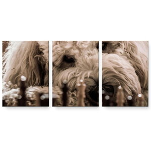 �A�[�g�p�l�� 3�A 3���Z�b�g �G �G�� ���� igsticker 594mmx420mm A2 �t�H�g �Ǌ|�� �ؘg �C���e���A ������� 026095 �����@���@�`�F�X