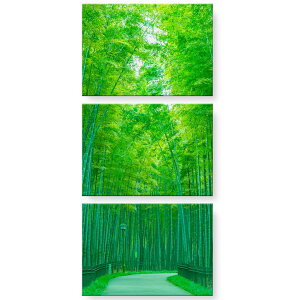 A[gpl G G  IׂTCY 594×841mm A1 3ZbgB Zbg _  ʐ^ tHg CeA  | a {@032829