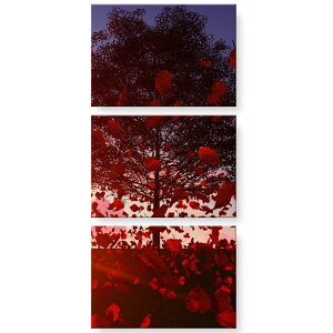 A[gpl 3A 3Zbg G G  igsticker 420mmx297mm A3 tHg Ǌ| ؘg CeA  gt ԁ@032839