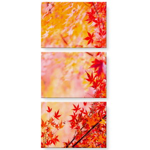 �A�[�g�p�l�� 3�A 3���Z�b�g �G �G�� ���� igsticker 420mmx297mm A3 �t�H�g �Ǌ|�� �ؘg �C���e���A ������� �g�t �H�@032841