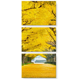 A[gpl 3A 3Zbg G G  igsticker 594mmx420mm A2 tHg Ǌ| ؘg CeA  gt 傤؁@032842