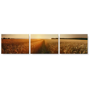 �A�[�g�p�l�� �G �G�� ���� �I�ׂ�T�C�Y 594×841mm A1 3���Z�b�gC �Z�b�g�� ���_�� ���� �ʐ^ �t�H�g �C���e���A ������� ���� �����@033041