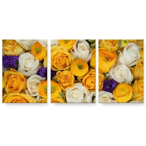 A[gpl G G  IׂTCY 594×841mm A1 3Zbg Zbg _  ʐ^ tHg CeA  005351 F@@@