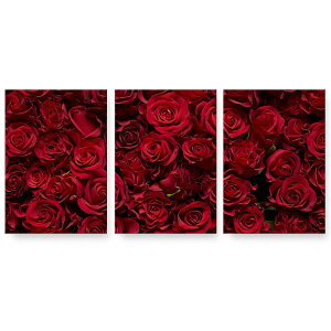 �A�[�g�p�l�� 3�A 3���Z�b�g �G �G�� ���� igsticker 594mmx420mm A2 �t�H�g �Ǌ|�� �ؘg �C���e���A ������� 008204 �ԁ@�@�ʐ^�@�K�N�@�ԁ@���b�h