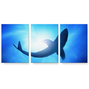 アートパネル 絵 絵画 飾り 選べるサイズ 594×841mm A1 3枚セット セット物 モダン 玄関 写真 フォト インテリア おしゃれ 012652 魚 くじら 海