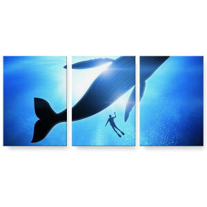 A[gpl 3A 3Zbg G G  igsticker 594mmx420mm A2 tHg Ǌ| ؘg CeA  012663 NW@VGbg@_CrO