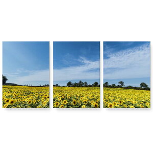 A[gpl 3A 3Zbg G G  igsticker 594mmx420mm A2 tHg Ǌ| ؘg CeA  015740 Ђ܂@ԁ@iF@ʐ^