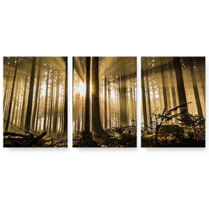 A[gpl G G  IׂTCY 594×841mm A1 3Zbg Zbg _  ʐ^ tHg CeA  018321 X ʐ^