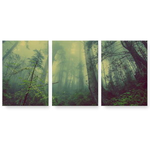 A[gpl G G  IׂTCY 594×841mm A1 3Zbg Zbg _  ʐ^ tHg CeA  018322 X ʐ^