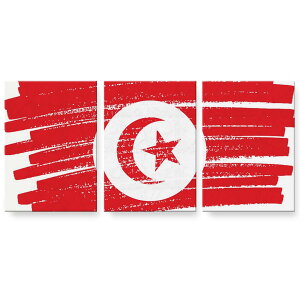 アートパネル 絵 絵画 飾り 選べるサイズ 594×841mm A1 3枚セット セット物 モダン 玄関 写真 フォト インテリア おしゃれ 018585 国旗 tunisia チュニジア