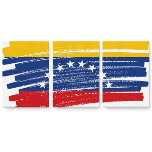 A[gpl 3A 3Zbg G G  igsticker 594mmx420mm A2 tHg Ǌ| ؘg CeA  018598  venezuela xlYG