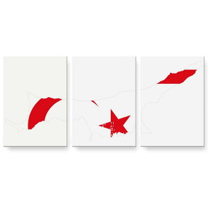 アートパネル 3連 3枚セット 絵 絵画 飾り igsticker 594mmx420mm A2 フォト 壁掛け 木枠 インテリア おしゃれ 018907 国旗 northern_cyprus 北キプロス