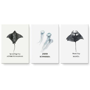 A[gpl 3A 3Zbg G G  igsticker 594mmx420mm A2 tHg Ǌ| ؘg CeA  019738 fUC C̐ NQ jellyfish