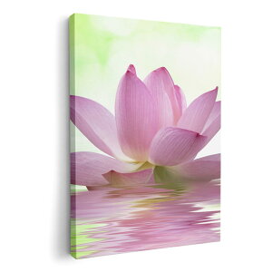 A[gpl G G  IׂTCY 420×594 mm A2 _  ʐ^ tHg CeA  000147 @@ʁ@