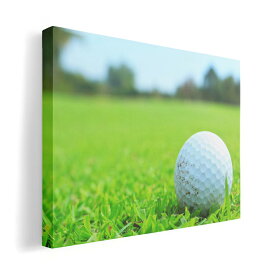 アートパネル 絵 絵画 飾り 選べるサイズ 420×594 mm A2 モダン 玄関 写真 フォト インテリア おしゃれ 000255 ゴルフ　芝生　スポーツ