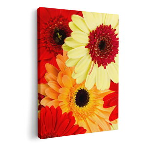 A[gpl G G  IׂTCY 420×594 mm A2 _  ʐ^ tHg CeA  000990 ԁ@K[x