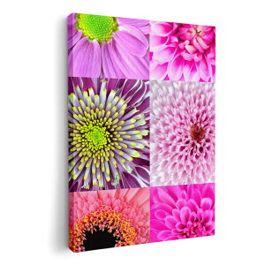 A[gpl G G  IׂTCY 420×594 mm A2 _  ʐ^ tHg CeA  001012 ԁ@sN