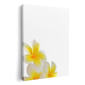 A[gpl G G  IׂTCY 420×594 mm A2 _  ʐ^ tHg CeA  001027 ԁ@vA