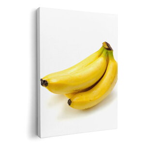A[gpl G G  IׂTCY 420×594 mm A2 _  ʐ^ tHg CeA  001182 oii@t[c@ʕ