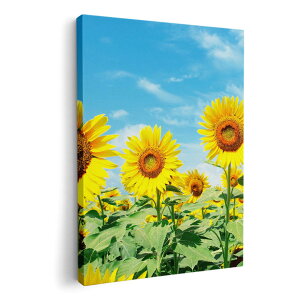 A[gpl G G  IׂTCY 420×594 mm A2 _  ʐ^ tHg CeA  002501 ԁ@Ђ܂@ʐ^