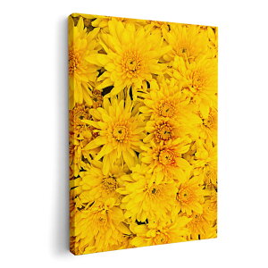 A[gpl G G  IׂTCY 420×594 mm A2 _  ʐ^ tHg CeA  002624 ԁ@t[@F@ʐ^