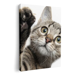 A[gpl G G  IׂTCY 420×594 mm A2 _  ʐ^ tHg CeA  002674 L@@ʐ^