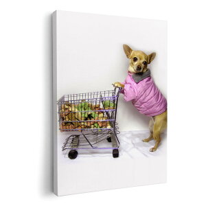 A[gpl G G  IׂTCY 420×594 mm A2 _  ʐ^ tHg CeA  002736 @@ʐ^