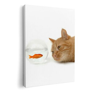 A[gpl G G  IׂTCY 420×594 mm A2 _  ʐ^ tHg CeA  002741 L@@ʐ^