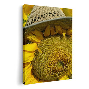 A[gpl G G  IׂTCY 420×594 mm A2 _  ʐ^ tHg CeA  002800 Ђ܂@ԁ@ʐ^