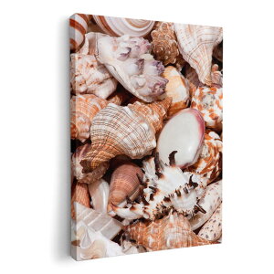 A[gpl G G  IׂTCY 420×594 mm A2 _  ʐ^ tHg CeA  002925 C@Lk@ʐ^