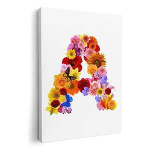 A[gpl G G  IׂTCY 420×594 mm A2 _  ʐ^ tHg CeA  003194 p@@ԁ@Jt