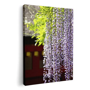 A[gpl G G  IׂTCY 420×594 mm A2 _  ʐ^ tHg CeA  003257 ԁ@ʐ^@iF@i