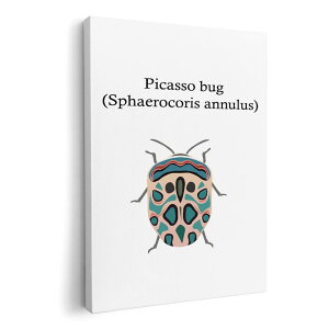 �A�[�g�p�l�� �G �G�� ���� �I�ׂ�T�C�Y 420×594 mm A2 ���_�� ���� �ʐ^ �t�H�g �C���e���A ������� 020023 �� picasso bug �s�J�\�o�O
