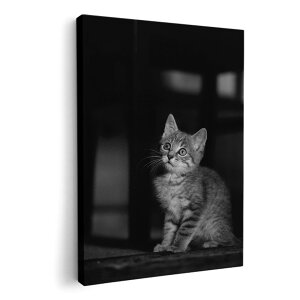 A[gpl G G  IׂTCY 420×594 mm A2 _  ʐ^ tHg CeA  022866 L@˂@ʐ^